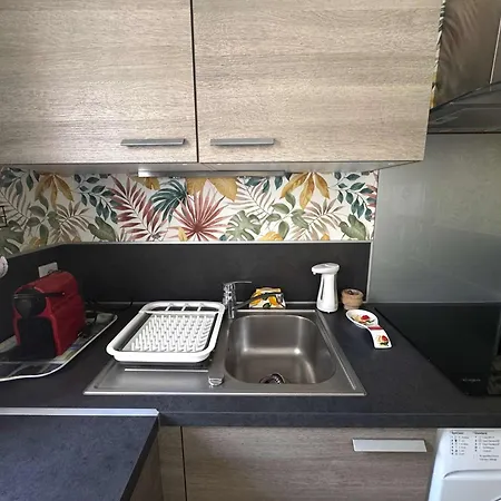 Appartement T2 Avec Parking Au Cœur De La Pinède - 4 Pers. - Fr-1-607-243 Agde